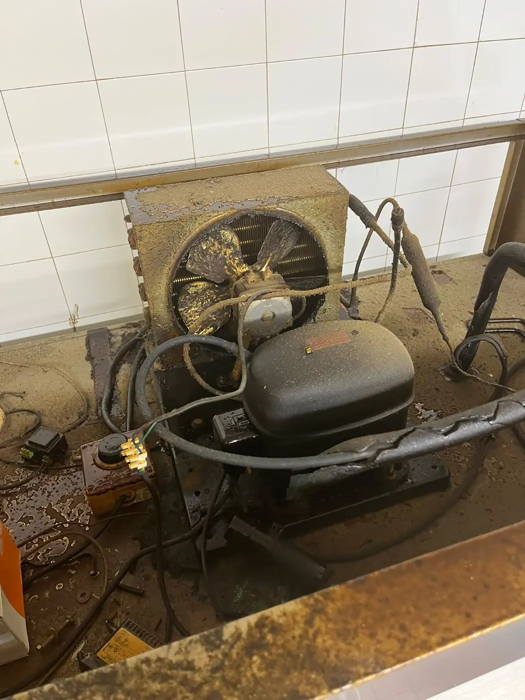 Commercial refrigeration compressor and condenser requiring repair